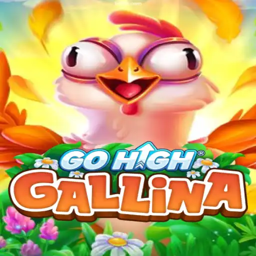 Exploring the Exciting World of GoHighGallina